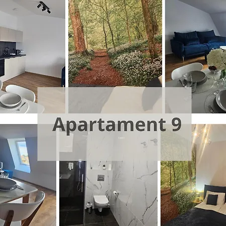 Arkady House Apartment Olsztynek Exterior photo